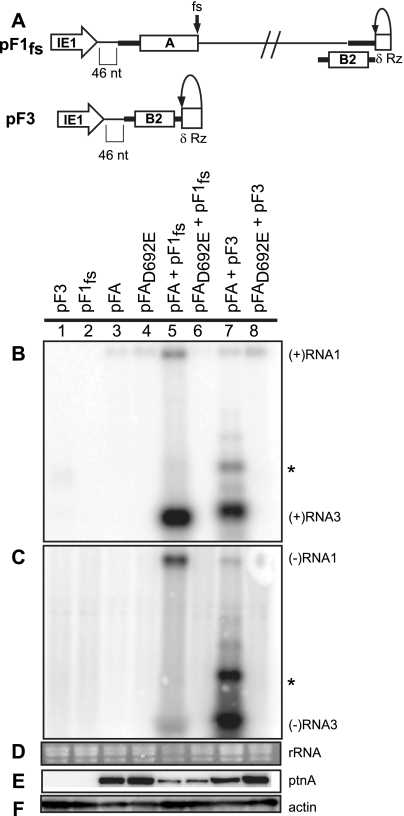 FIG. 5.