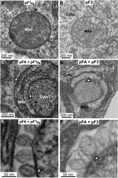 FIG. 6.