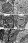 FIG. 6.