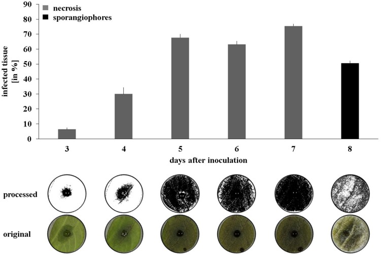 FIGURE 3