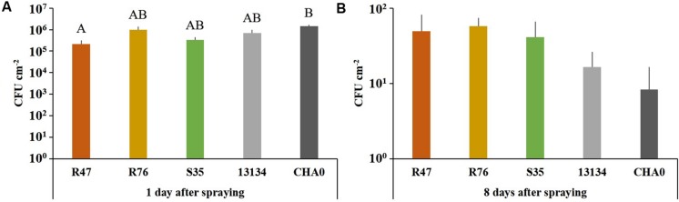 FIGURE 6