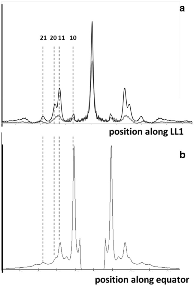 Fig. 2