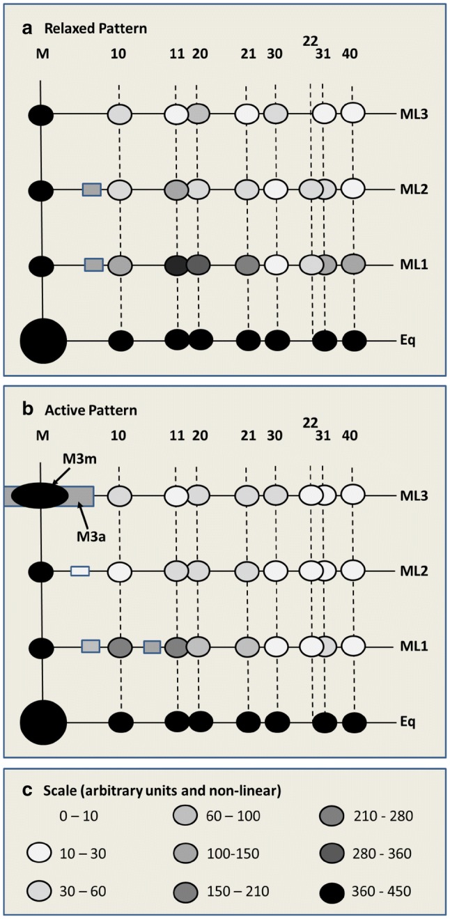 Fig. 10