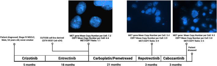 FIGURE 3