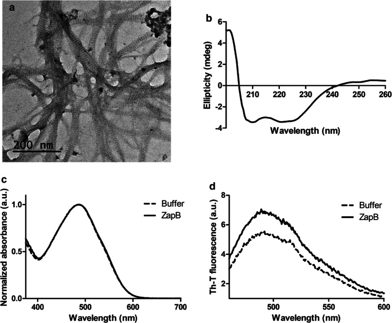 Fig. 3