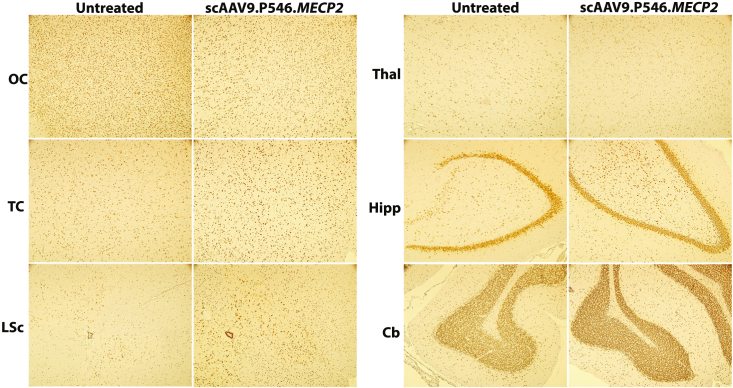 Figure 6