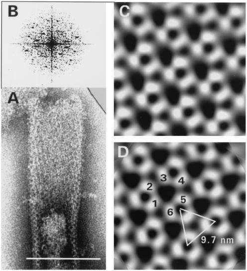 FIG. 5.