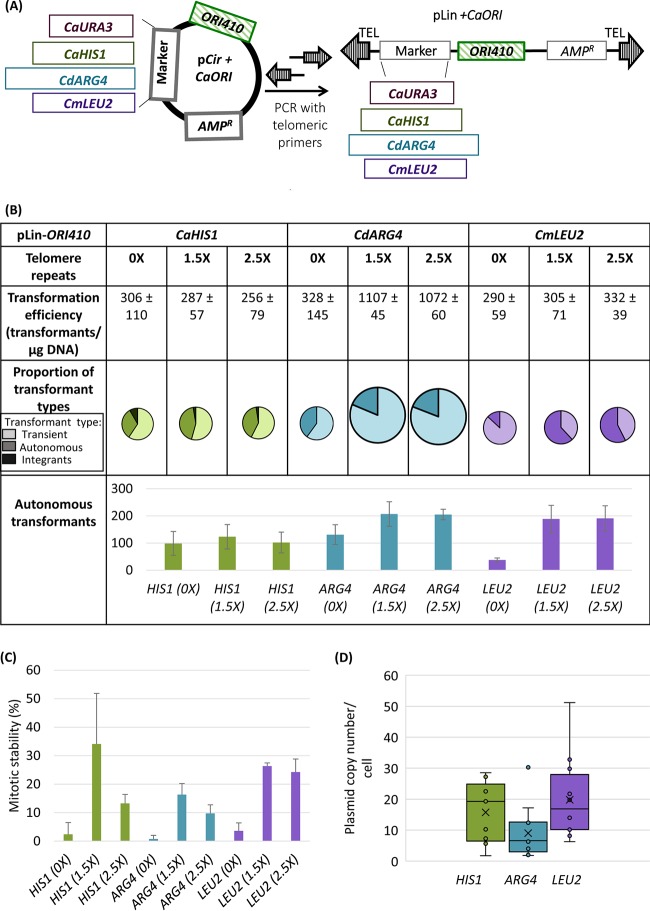 FIG 2