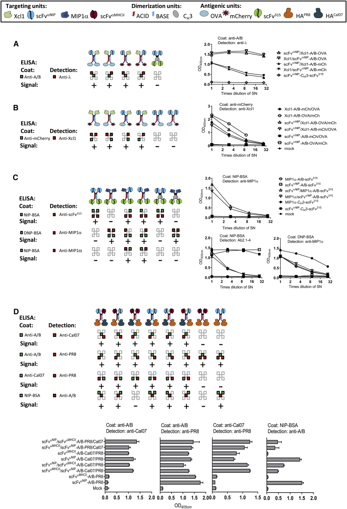 Figure 4