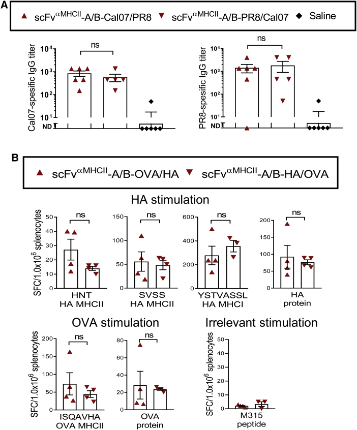 Figure 6