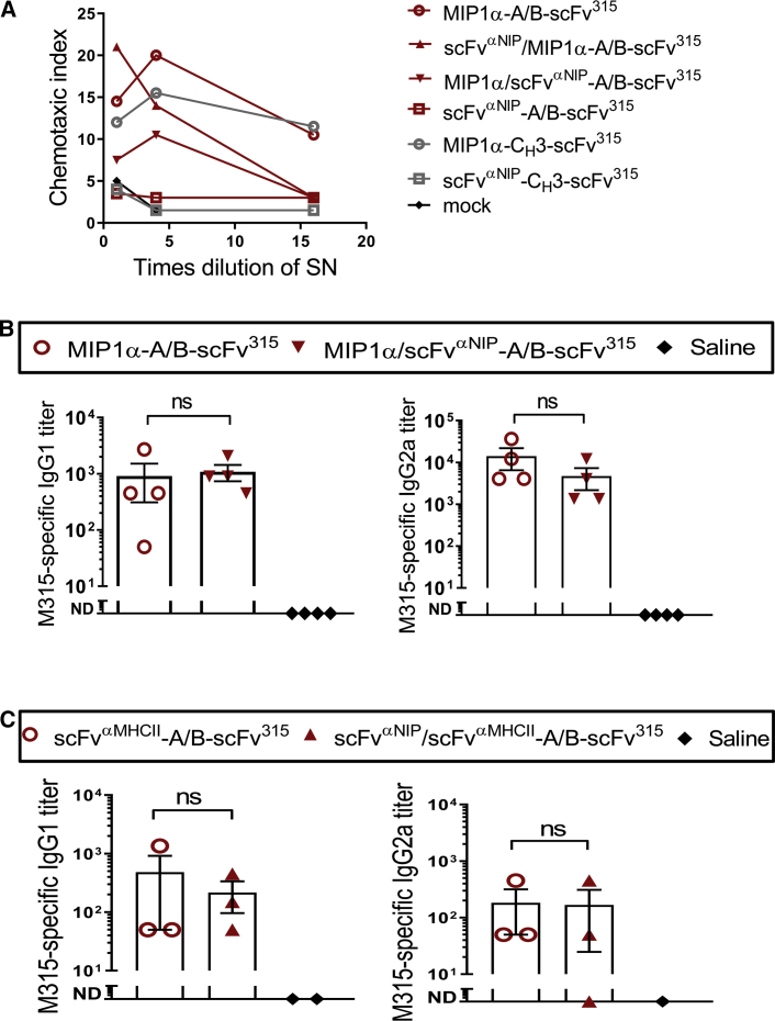 Figure 5