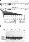 FIG. 7.