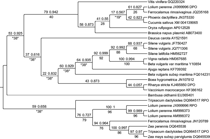 Fig. 2.—