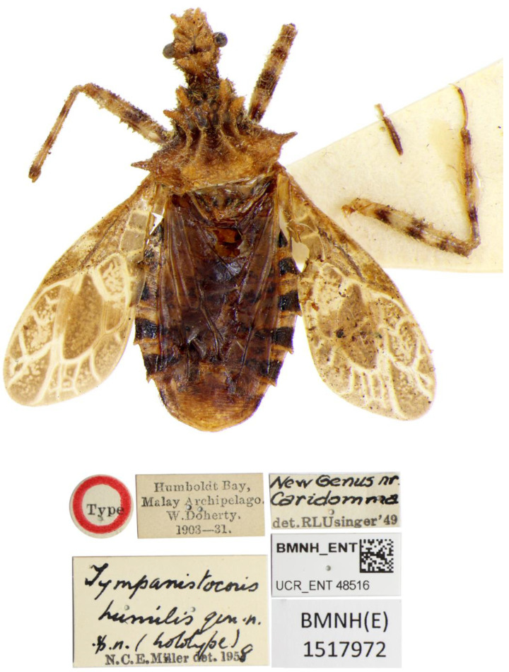 Figure 10
