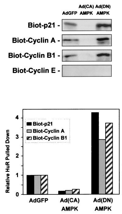 FIG. 9.