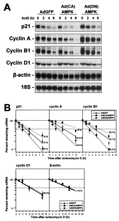 FIG. 11.