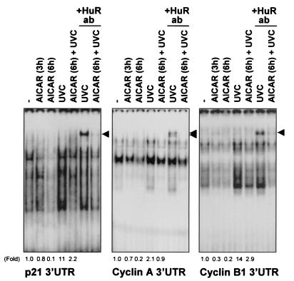 FIG. 8.