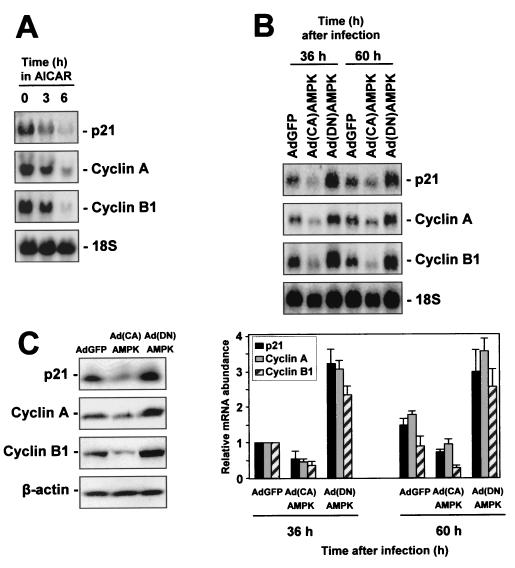 FIG. 10.