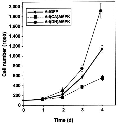 FIG. 12.