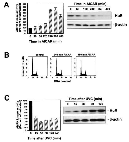 FIG. 5.