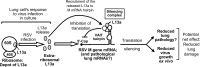FIG 6
