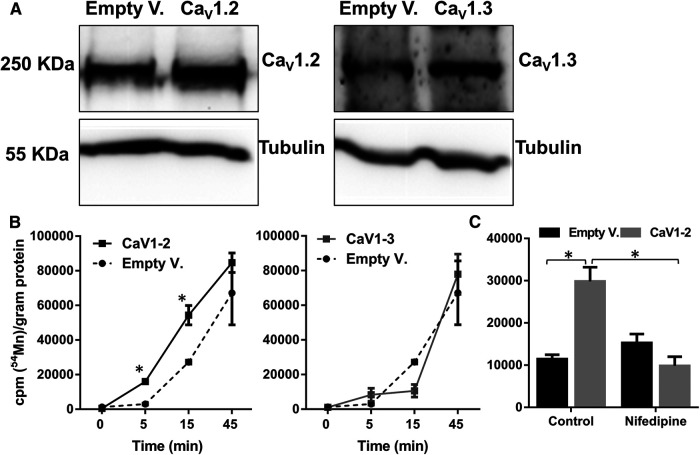 Figure 13.