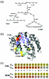 FIG. 5.