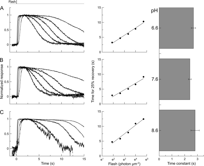 Figure 9.