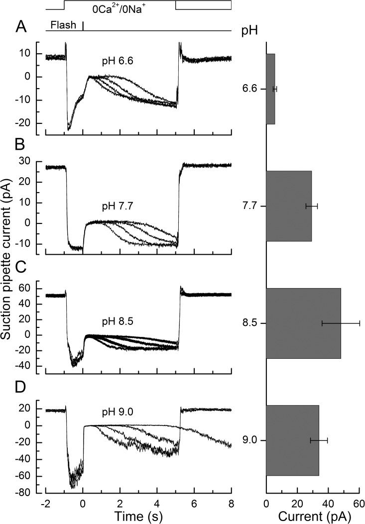 Figure 6.