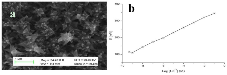 Figure 11.