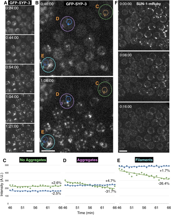 Figure 2—figure supplement 1.