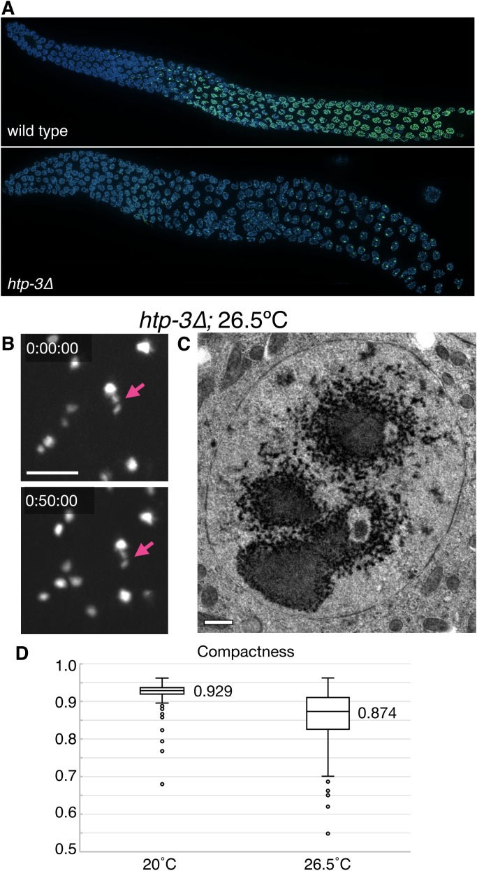 Figure 1—figure supplement 1.