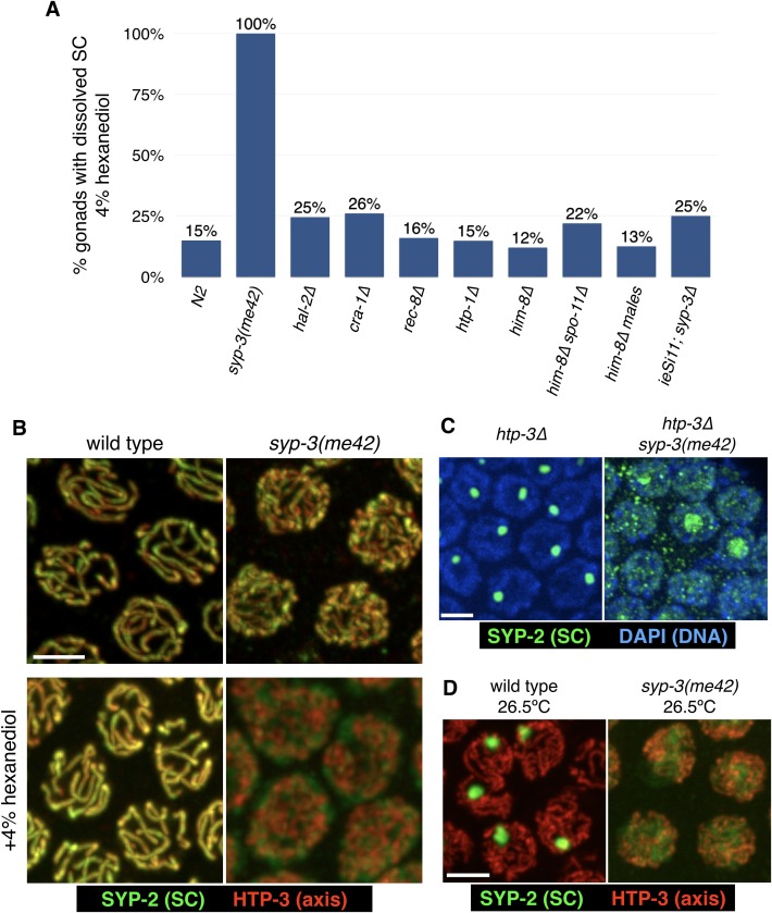 Figure 4—figure supplement 2.