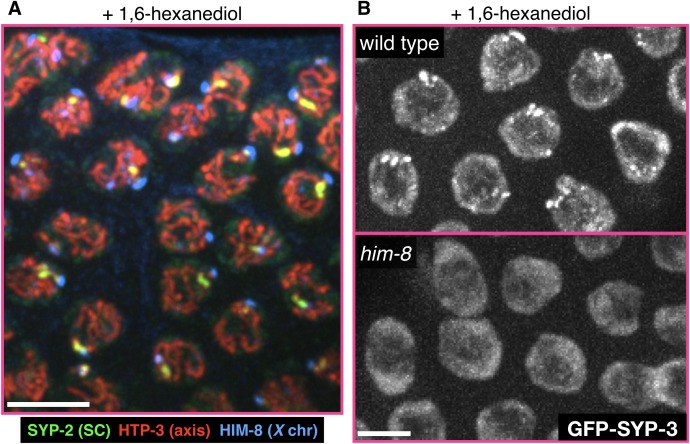 Figure 4—figure supplement 3.