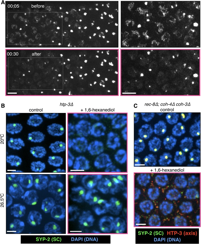 Figure 4—figure supplement 4.