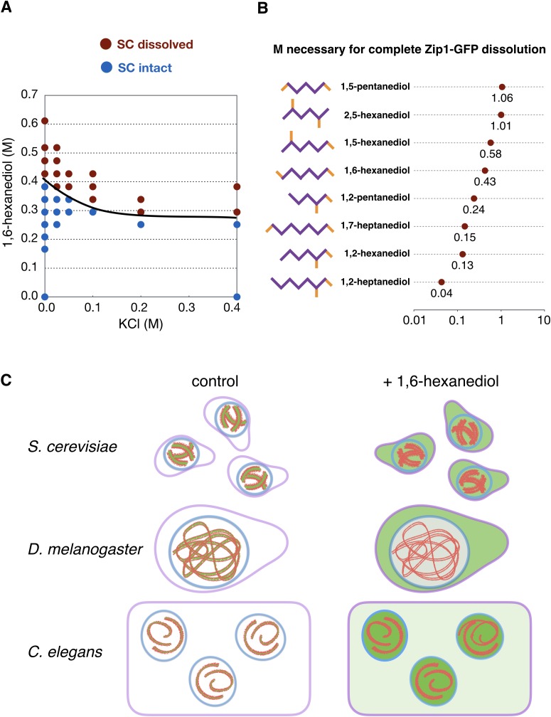 Figure 4—figure supplement 1.