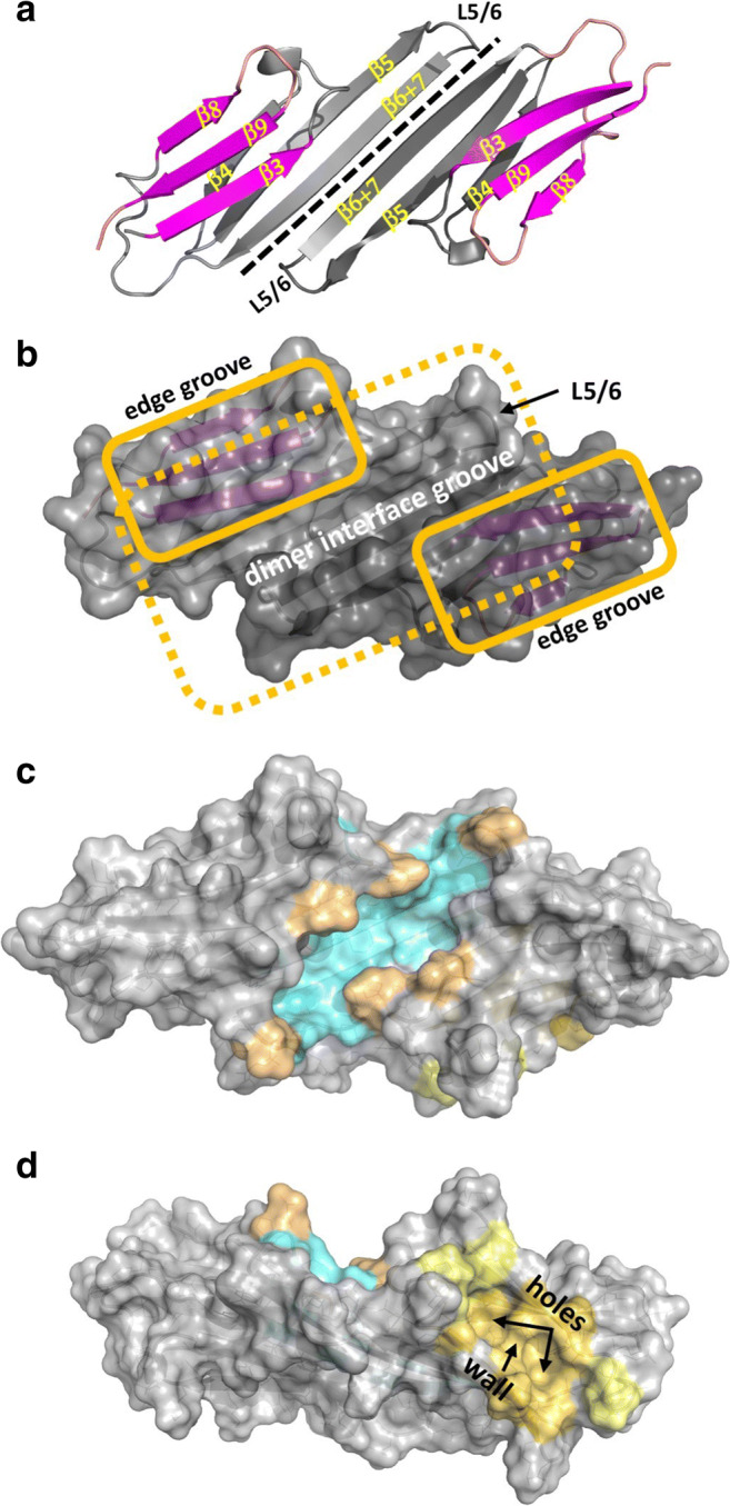 Fig. 1