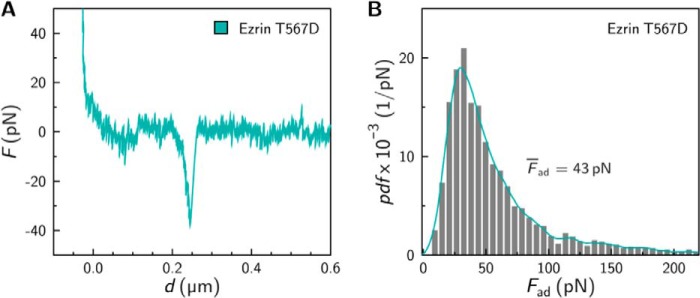 FIGURE 7.