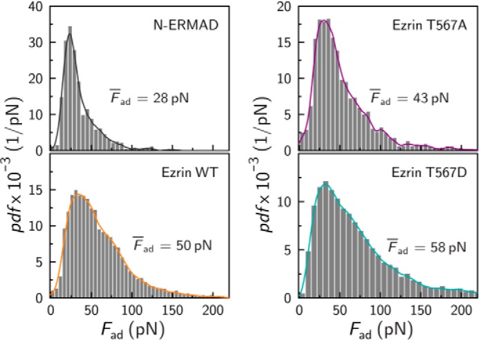 FIGURE 4.