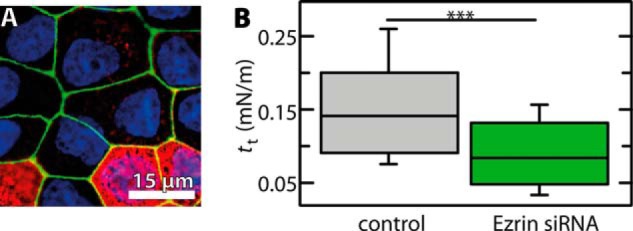 FIGURE 10.