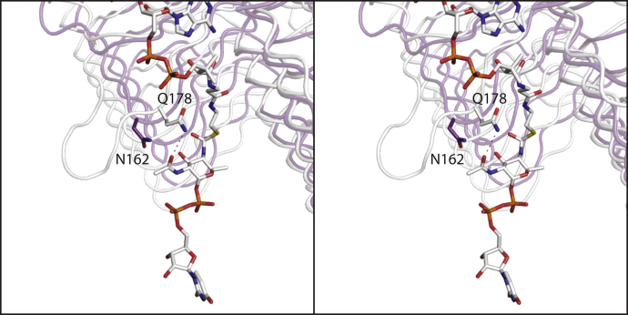 Figure 12