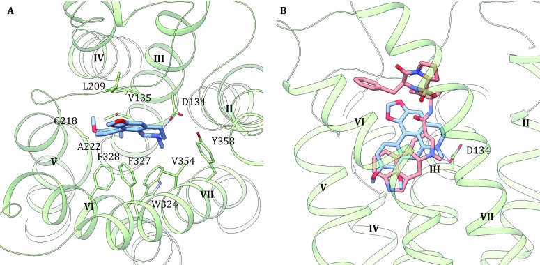 Fig. 4