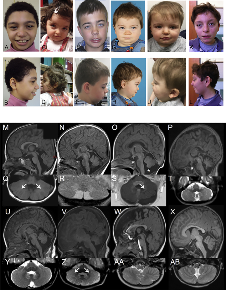 Figure 1