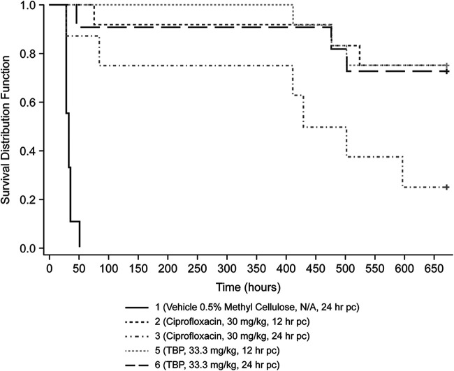 FIG 1