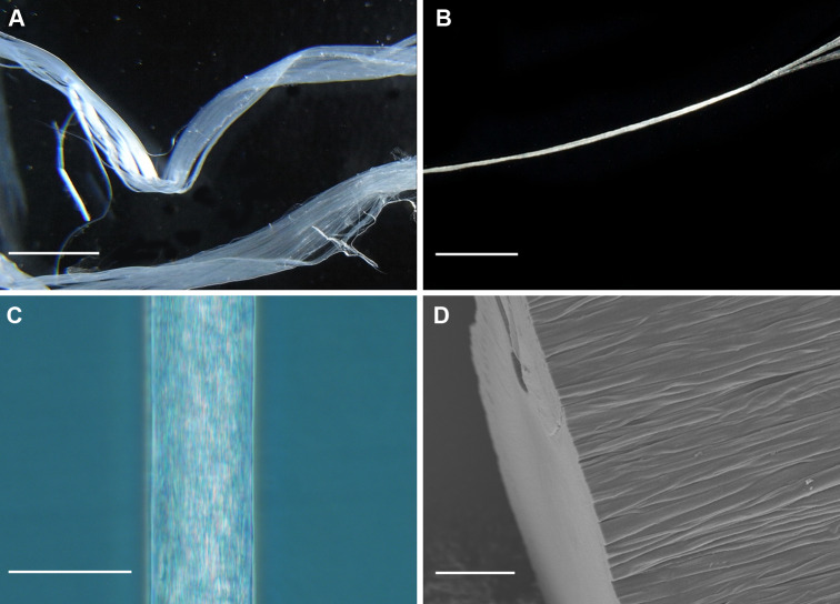 Fig. 2