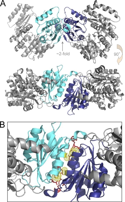 Fig. 3.