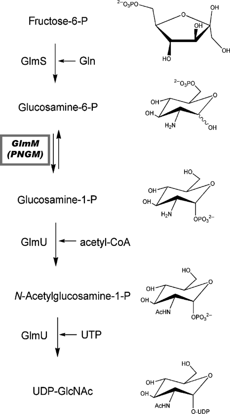 Fig. 1.