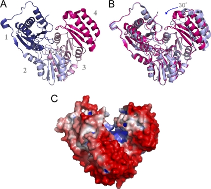 Fig. 2.