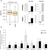 Figure 4—figure supplement 1.
