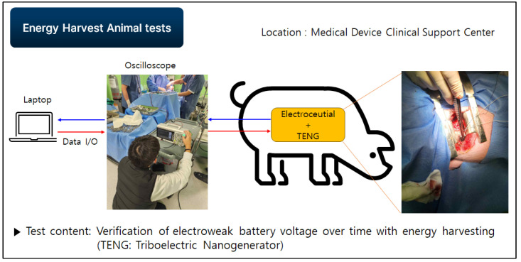 Figure 21